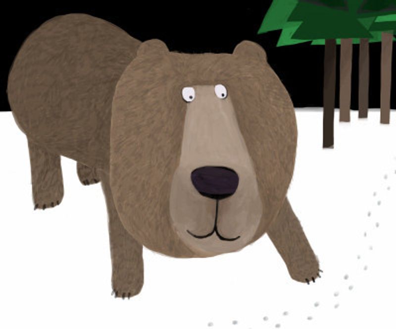 Cute Brown Bear in the Snow by Carla Daly