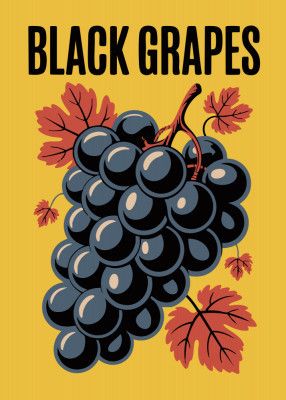 Grapes &amp; Leaves