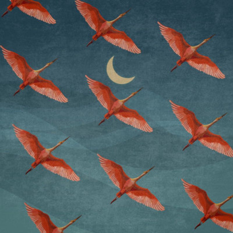 Crimson Flight Nights