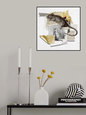 Hunter and the Hunted