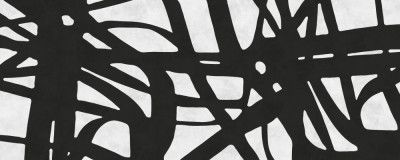 Overlapping Geometric Lines