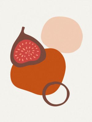 Fig Harmony