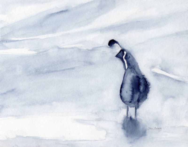 Quail On Creekside Lane