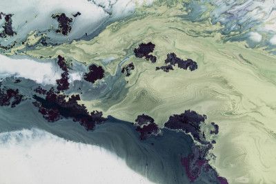 Best Sellers - Untouched Estuaries