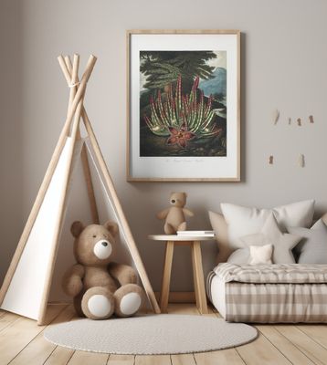 The Maggot–Bearing Stapelia from The Temple of Flora (1807)