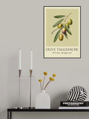 Olive Taggiasche