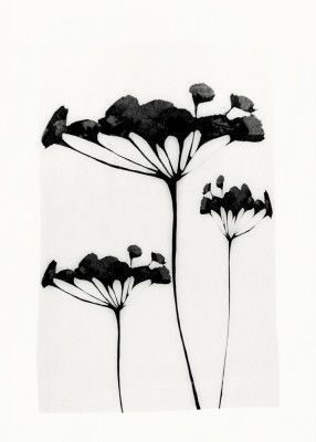 Abstract Art Minimal Plant