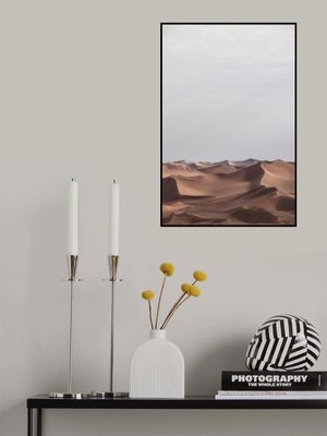 Desert Serenity