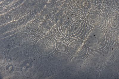 Sunlit Water Ripples