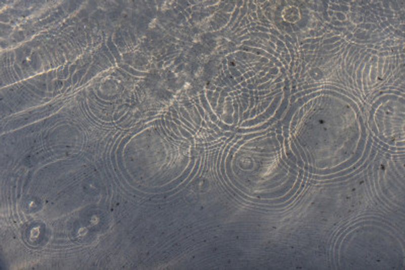Sunlit Water Ripples
