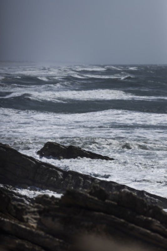 Powerful Ocean Waves