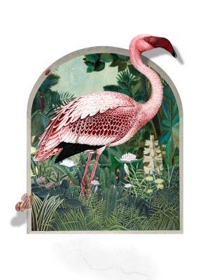 The Tropical Magic Garden