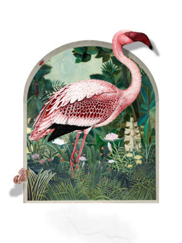 The Tropical Magic Garden