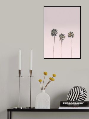 Palms On Pink