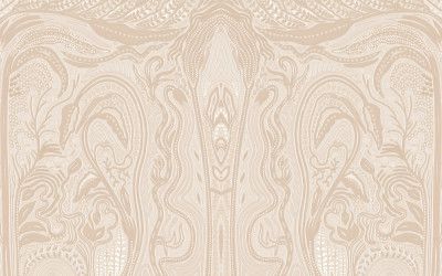 Alocasia macrorrhizos