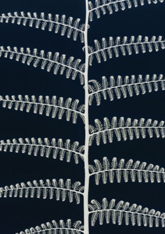 White Fern Patterns