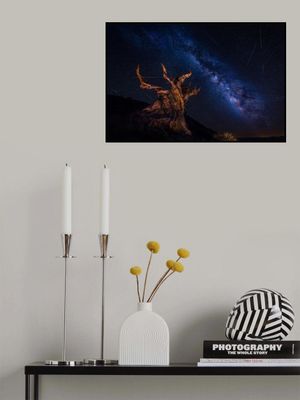 Shooting Stars Night