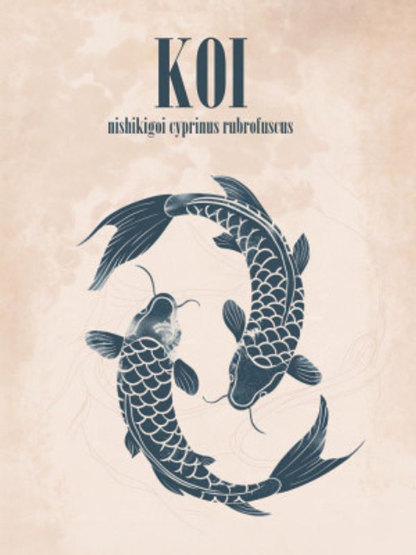Koi Harmony