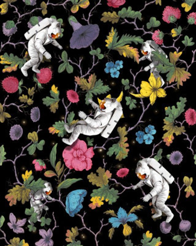 In a Galaxy, Far Far Away Ii