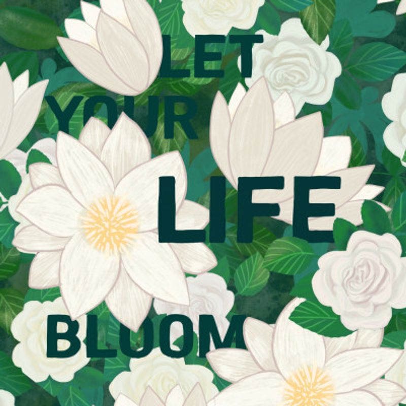 White Lotus Flowers with Lush Green Leaves