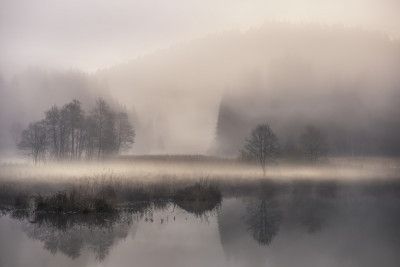 Mystic morning II