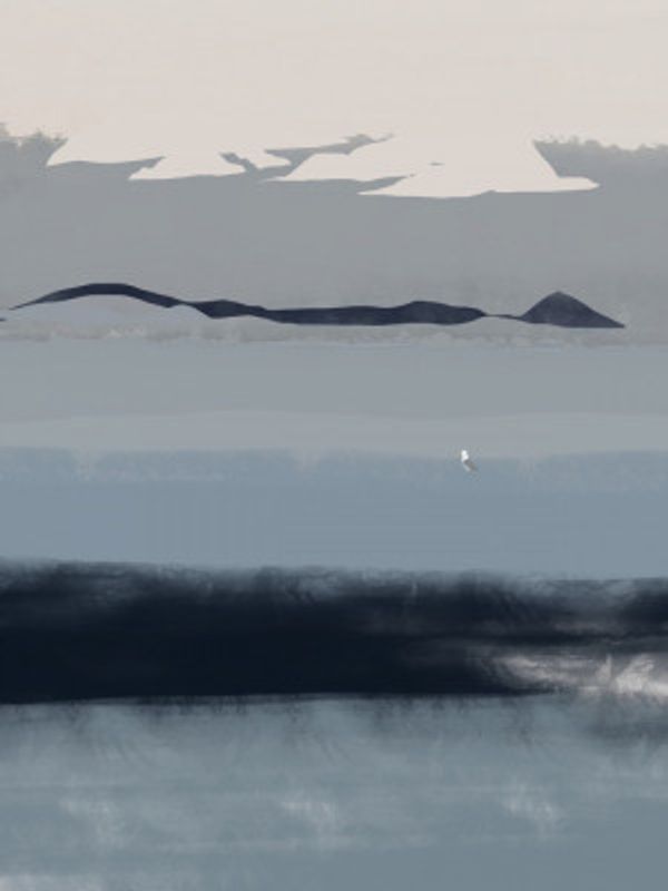 Serene Beauty Of Nature With Soft