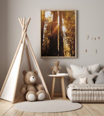 Redwood Forest Sunbeams IV