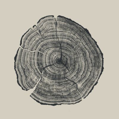Hand Drawn Oak