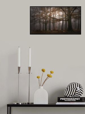 Foggy memory  of the past