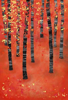 Birch Aspen Tree Forest