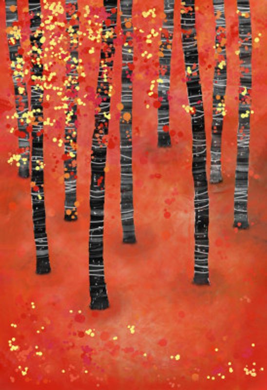 Birch Aspen Tree Forest