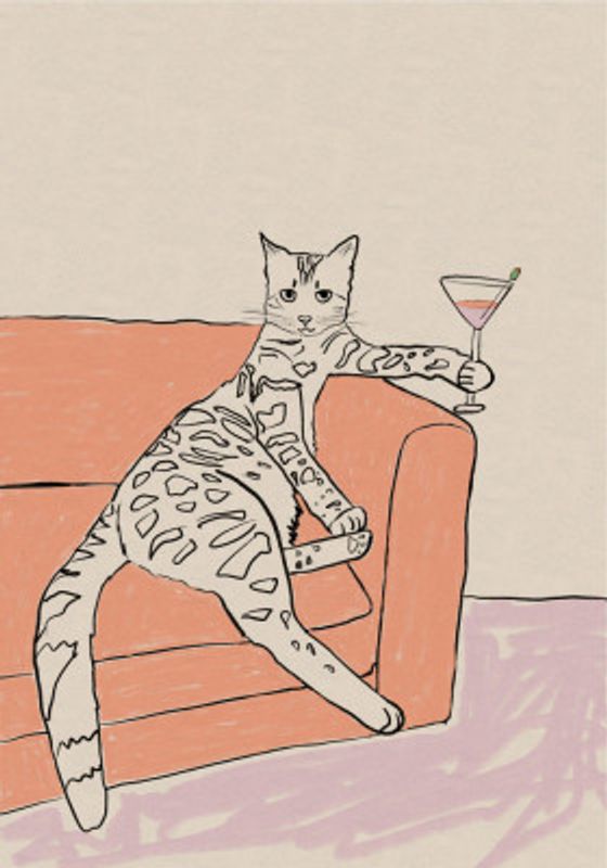 Cat cocktail time