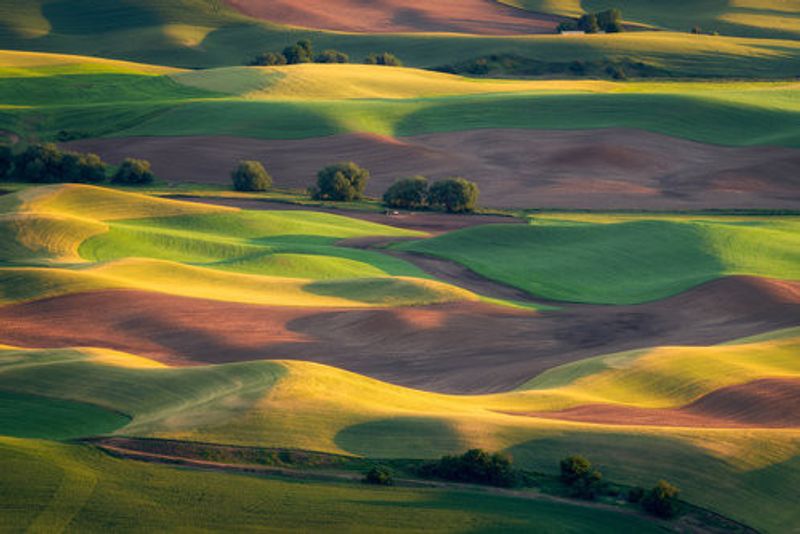 Colorful Palouse