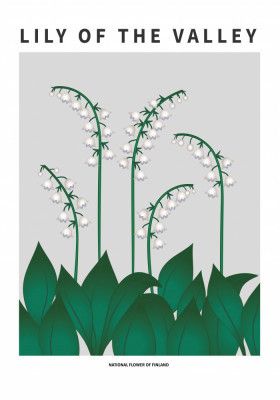 Lily of the valley  - National flower of  Finland