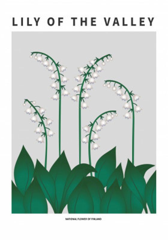 Lily of the valley  - National flower of  Finland