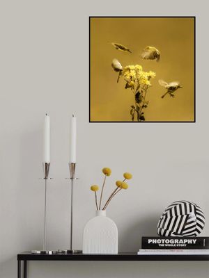 When The Morning Comes