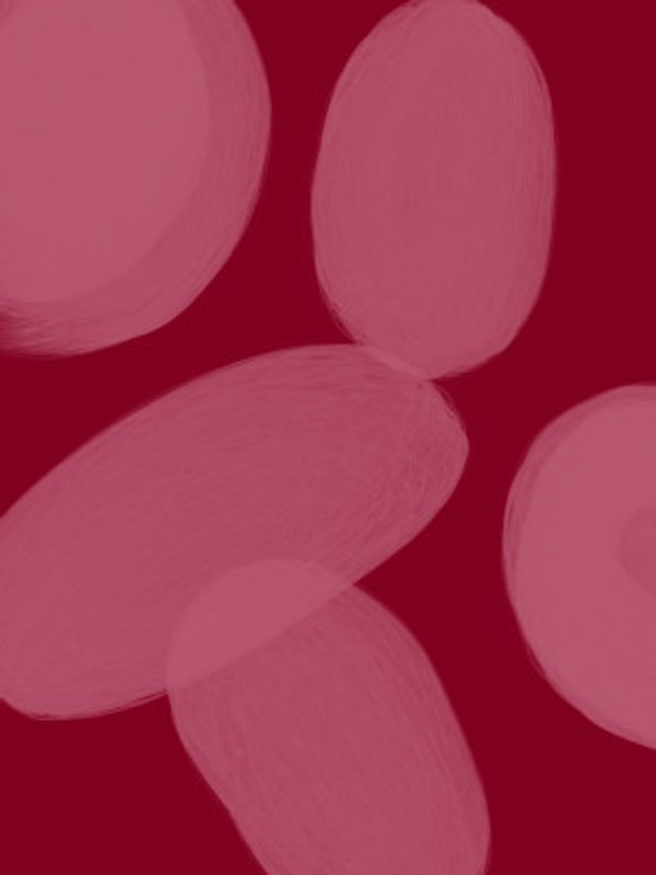 Colour Palette Burgundy 11