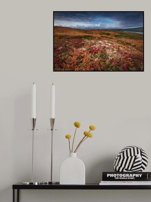 Denali in Fall color at sunrise, captuerd near Wonder Lake Camping Ground