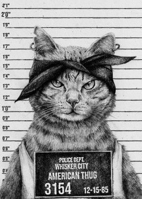 Cat In A Police Lineup