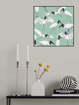 Dance of the Tuiuiui Mint