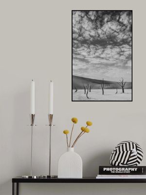 Black And White Desert Landscape