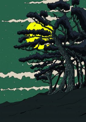 Moonlit Pines