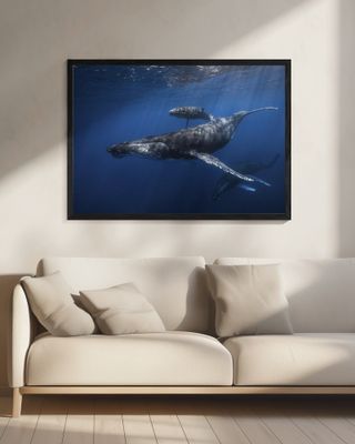 Humpback whale family's