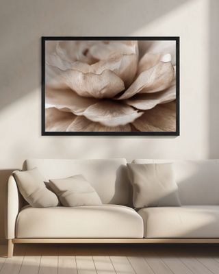 Delicate Petal Dance