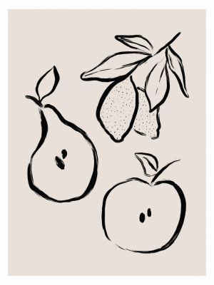 Fruitful Sketches