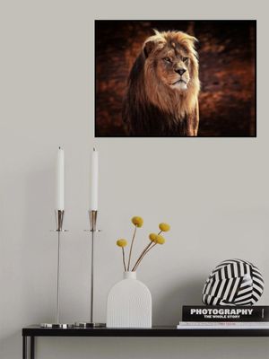 HIS MAJESTY, THE KING