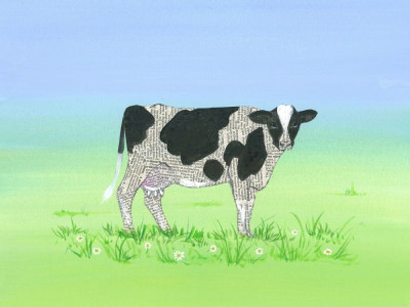 A Cow with Newspaper Text