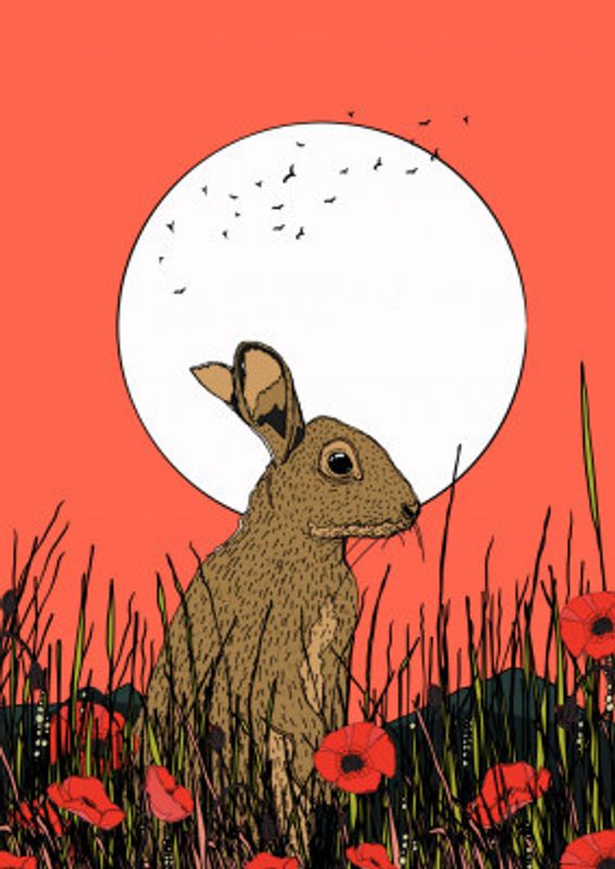 Hare In Poppies