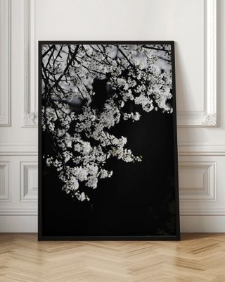 White Spring Blossoms