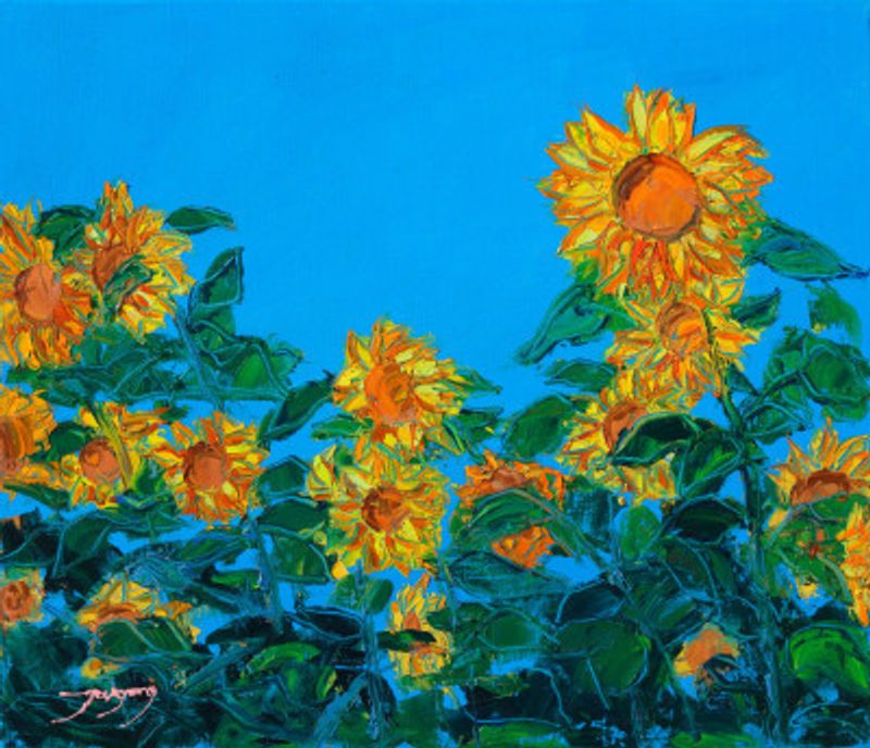 Sun Flower Oil On Canvas